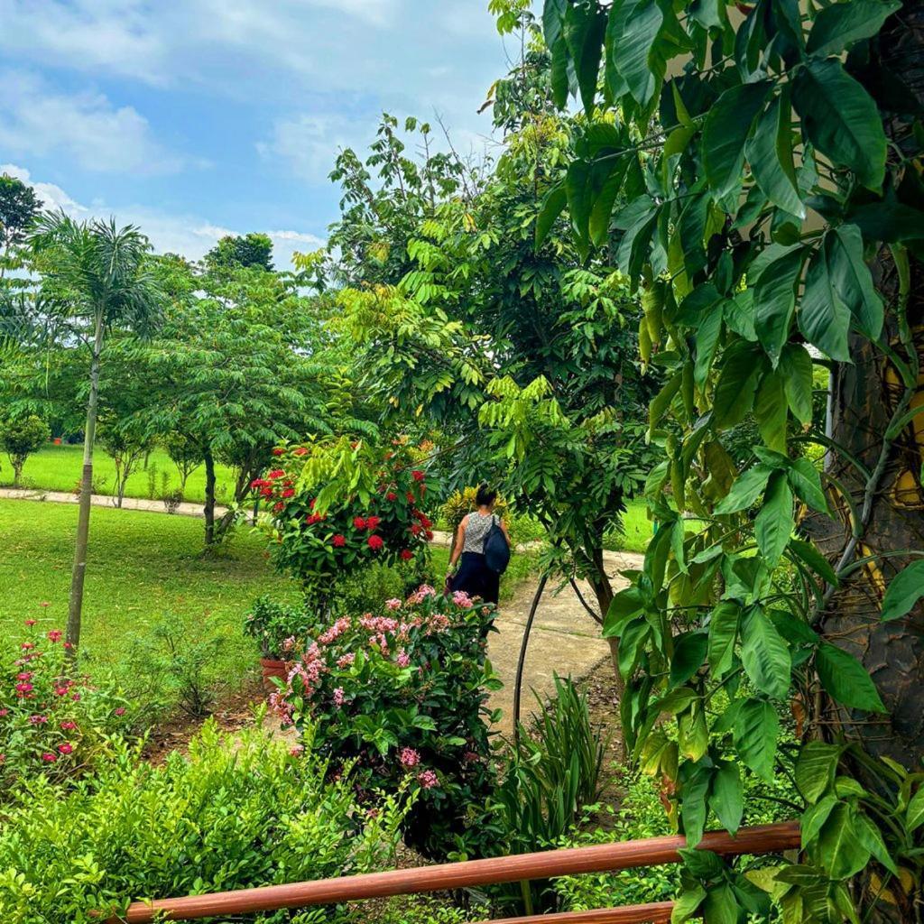 Hotel Greenland Safari Sauraha Bagian luar foto