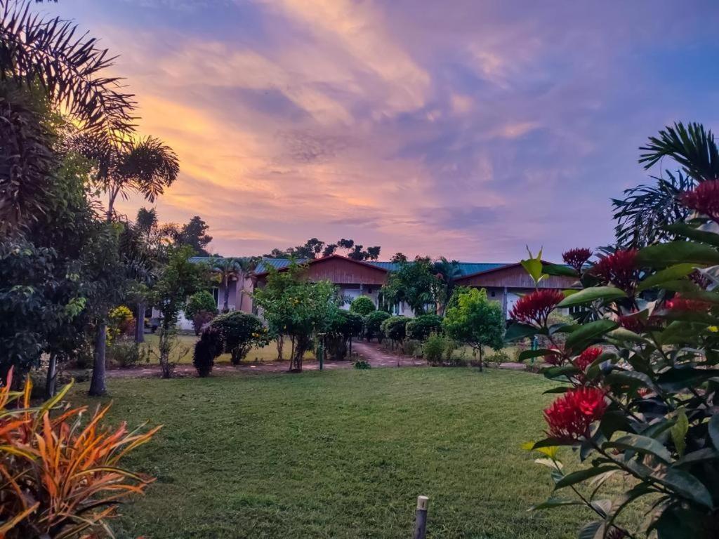Hotel Greenland Safari Sauraha Bagian luar foto