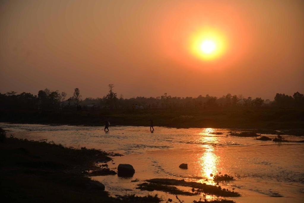 Hotel Greenland Safari Sauraha Bagian luar foto