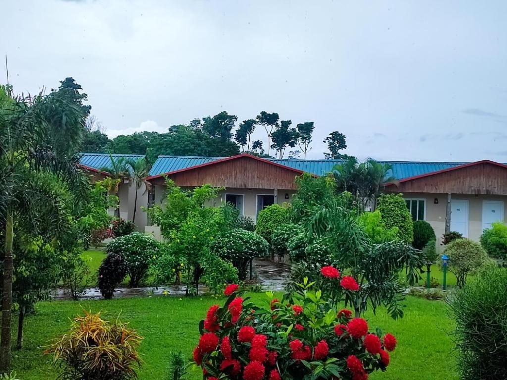 Hotel Greenland Safari Sauraha Bagian luar foto